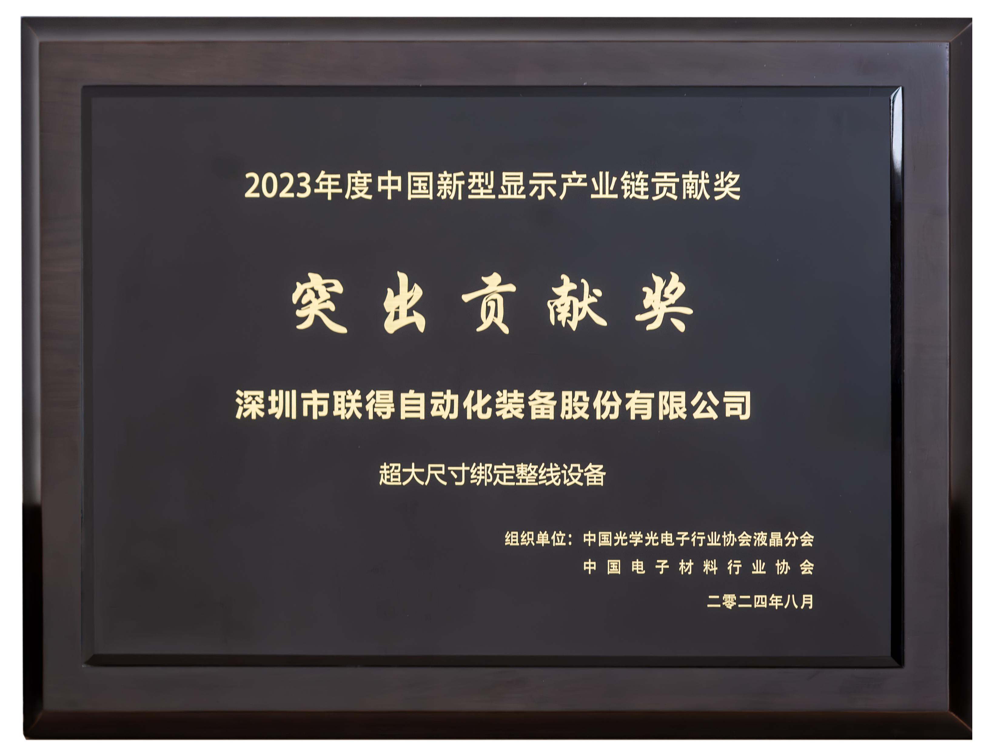 1726114203676148.png 中國新型顯示產(chǎn)業(yè)鏈貢獻(xiàn)獎(jiǎng)-突出貢獻(xiàn)獎(jiǎng).png